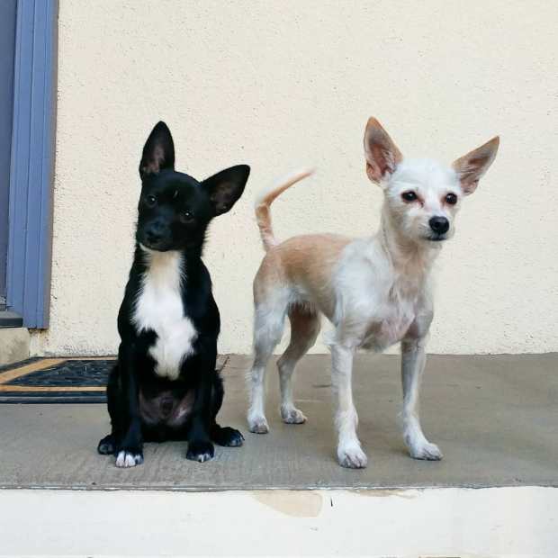 IMG_20180503_015356_219