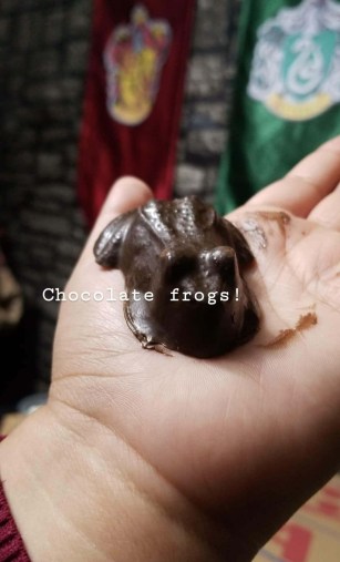 chocolate-frog.jpg