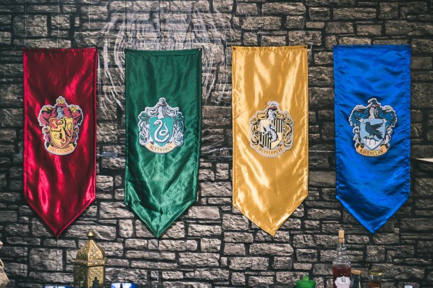 Harry Potter Party on a budget-1