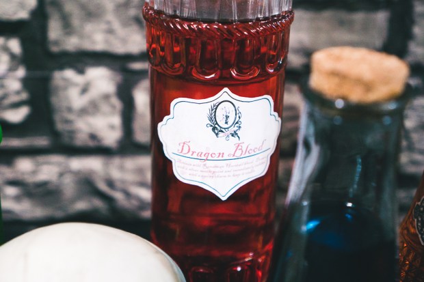 Harry Potter Party on a budget-3