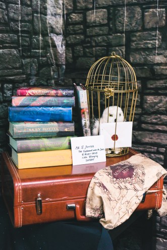 Harry Potter Party on a budget-4