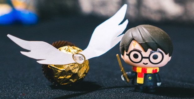 Harry Potter Party on a budget-5