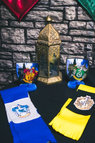 Harry Potter Party on a budget-7.jpg