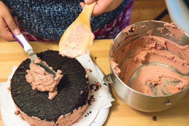 Vegan Harry Potter birthday cake-19.jpg