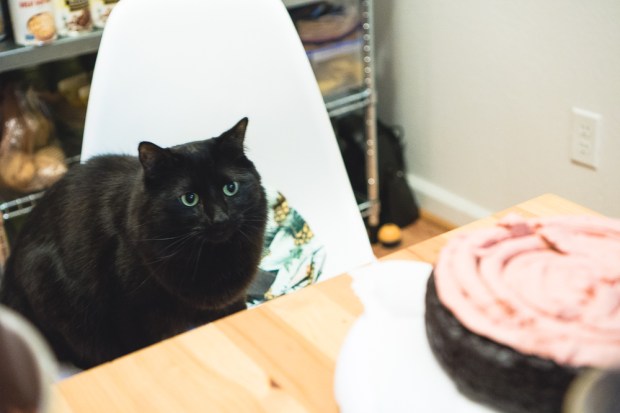 Vegan Harry Potter birthday cake-8