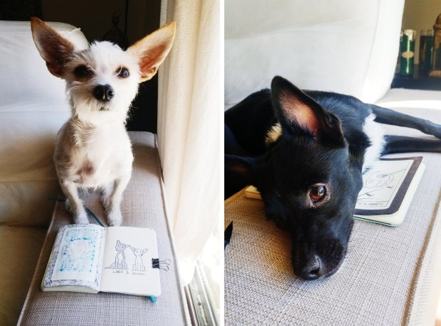 Inktober Coven Ink Eevee and Loki.jpg