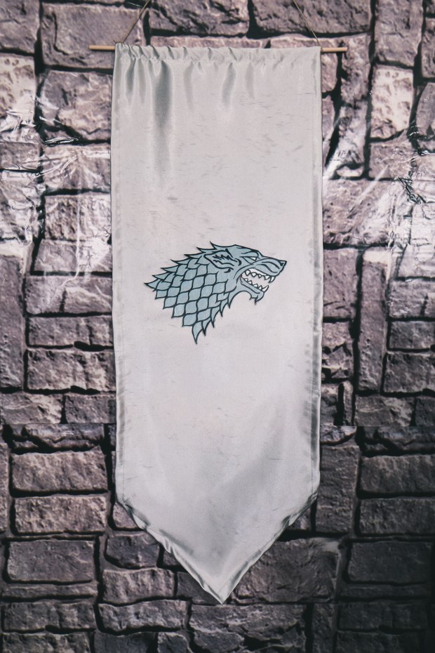 Affordable Game of Thrones Party Subculture Recall-33