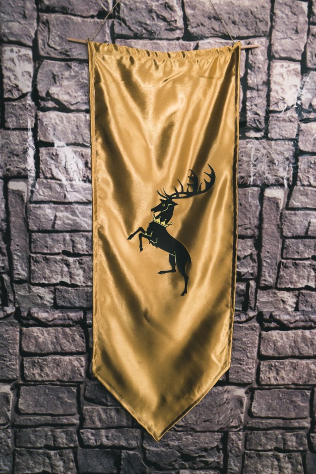 Affordable Game of Thrones Party Subculture Recall-34