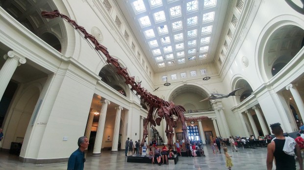 Places to visit Chicago Subculture Recall-17.jpg