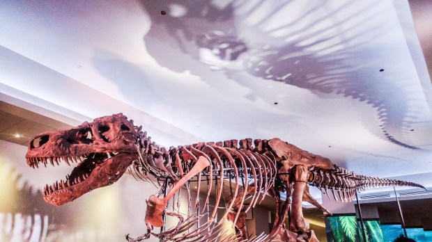 Places to visit Chicago Subculture Recall-19.jpg